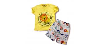 Joblot 4-Pack Toddler Boys 2-Pcs Shorts Set (1y-4y)