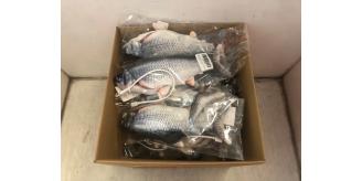 20 X FLOPPY FISH CAT TOY TOTAL ORIGINAL RRP £179