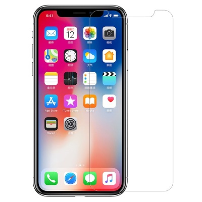 100X Premium Tempered Glass Screen Protector for iPhone X