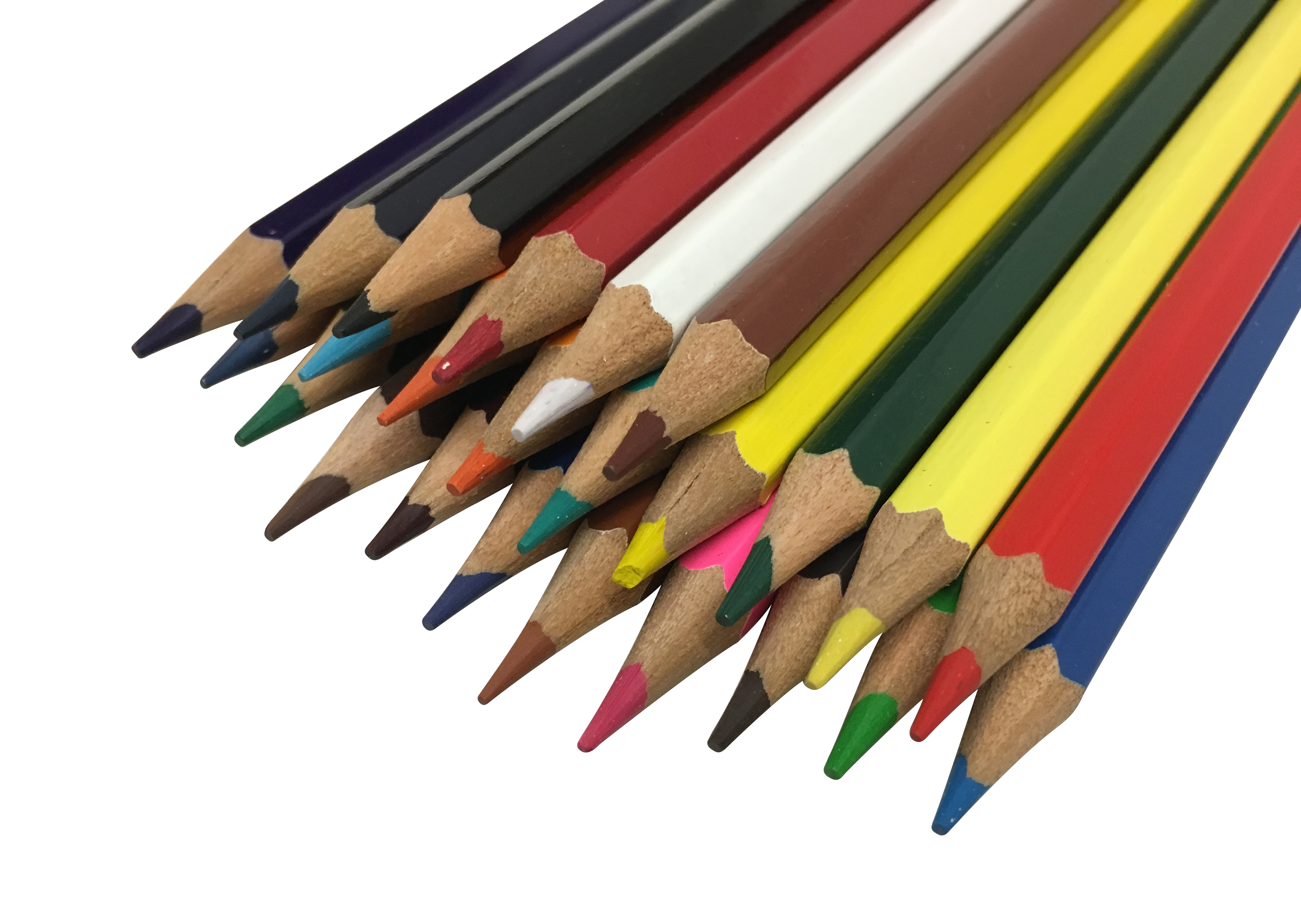Colouring Pencil - 24 Assorted Colours Sharpened Long-Lasting Coloured Pencils Ideal for Drawing, Writing and Sketching by Arpan (ST-9670)