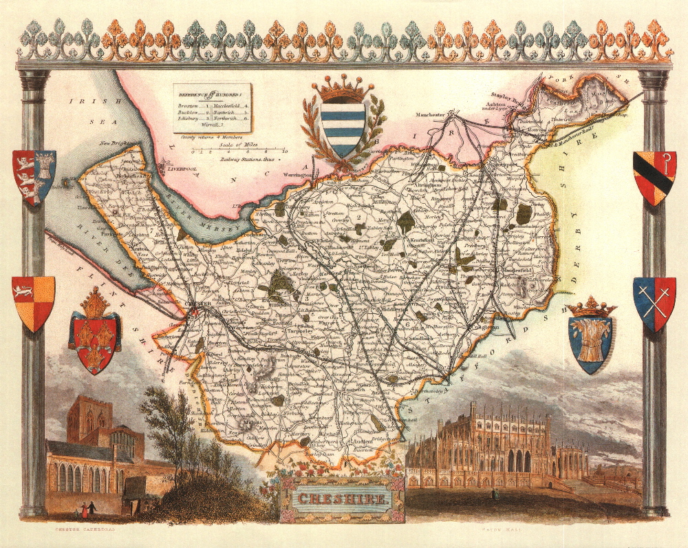 100 Cheshire 19th Century Reproduction Thomas Moule Decorative Antique Maps