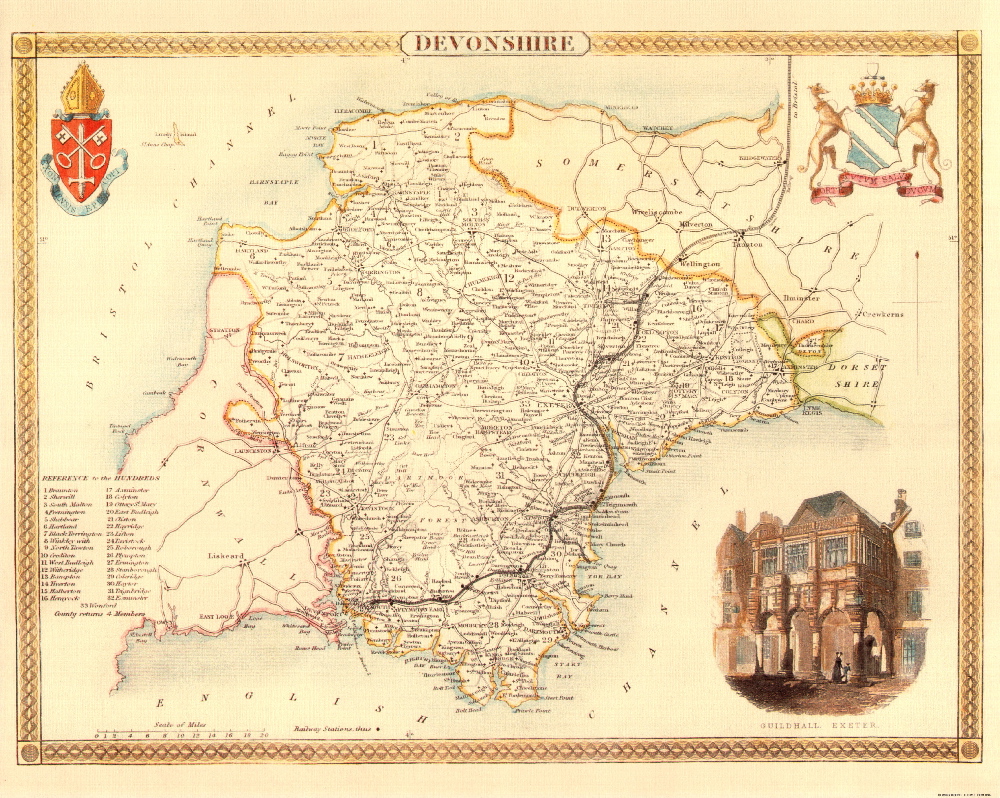 100 Devonshire 19th Century Reproduction Thomas Moule Decorative Antique Maps