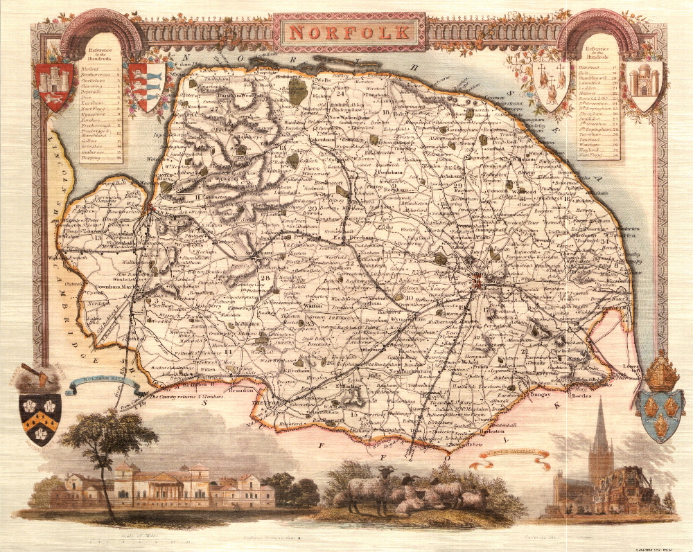 60 Norfolk 19th Century Reproduction Thomas Moule Decorative Antique Maps