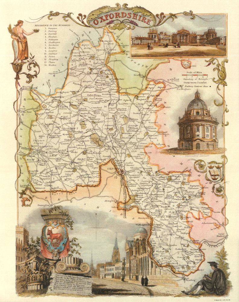100 Oxfordshire 19th Century Reproduction Thomas Moule Decorative Antique Maps