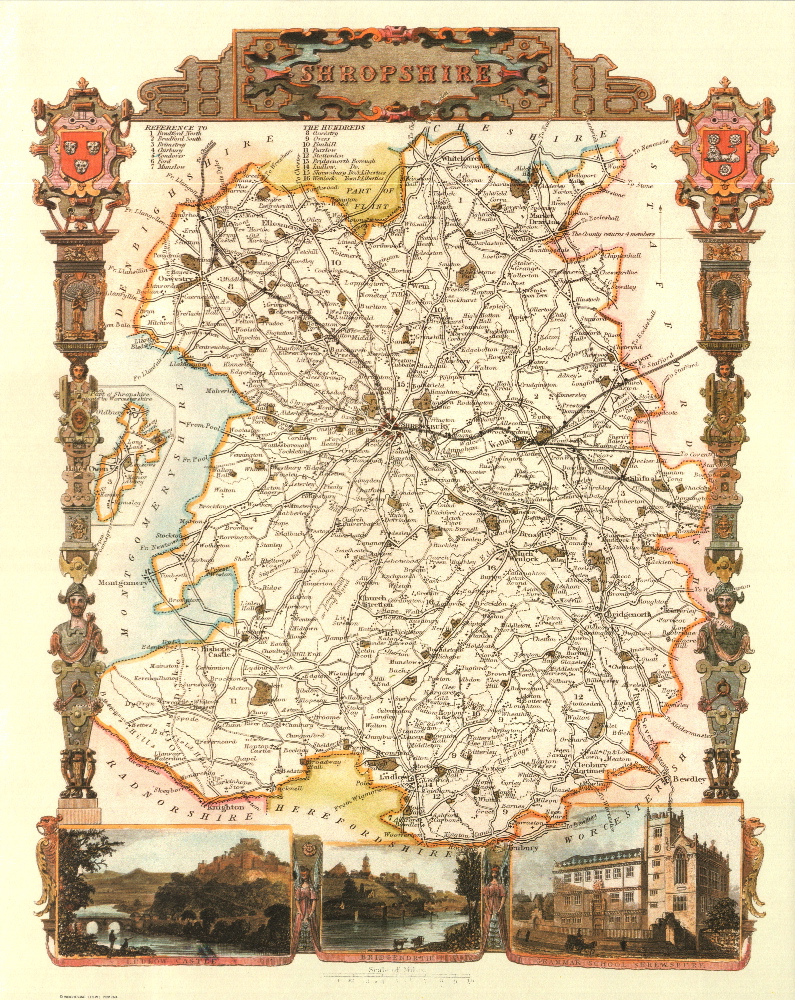 100 Shropshire 19th Century Reproduction Thomas Moule Decorative Antique Maps
