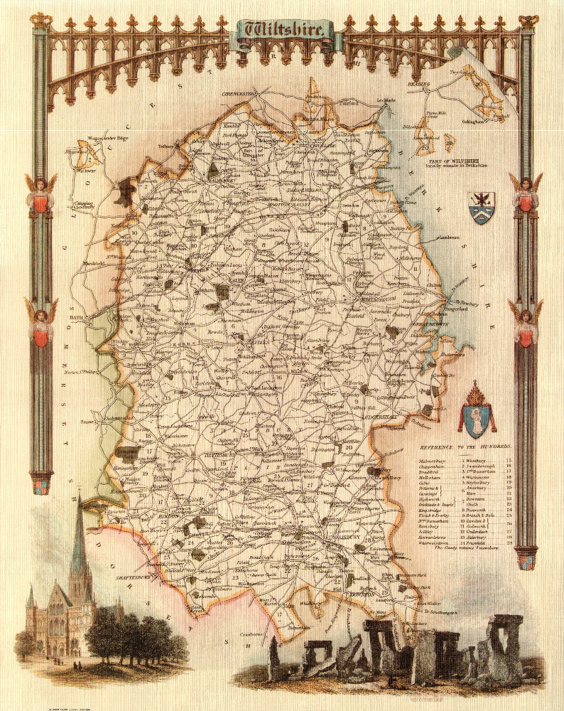 65 Wiltshire 19th Century Reproduction Thomas Moule Decorative Antique Maps