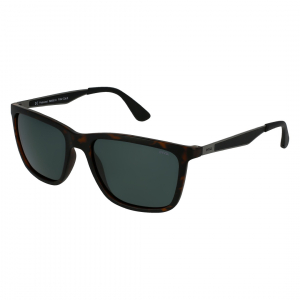 Wholesale Joblot of 10 INVU Matt Demi/Gun B2000C Polarized Sunglasses