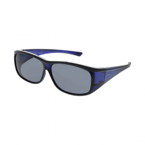 Wholesale Joblot of 10 INVU Transparent Navy E2101F Polarized Sunglasses