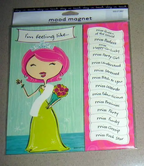 Novelty Sassy Mood Fridge Magnet with 14 Different Moods