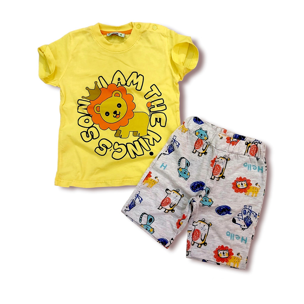 Joblot 4-Pack Toddler Boys 2-Pcs Shorts Set (1y-4y)