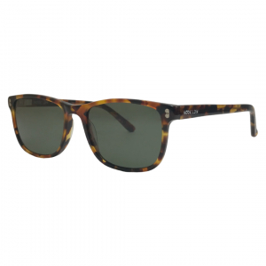 One Off Joblot of 10 Hook LDN Mens Tortoiseshell Stardust Sunglasses