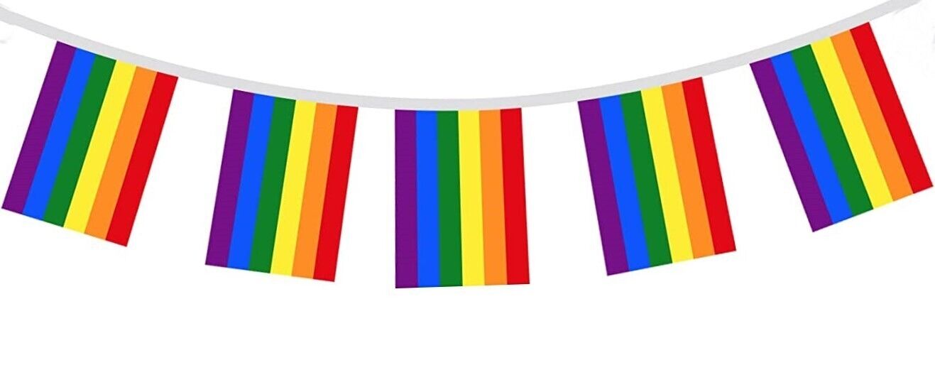 10 Metre PVC Rainbow 6 Colour Pride Bunting with 20 Flags - 120 Pieces