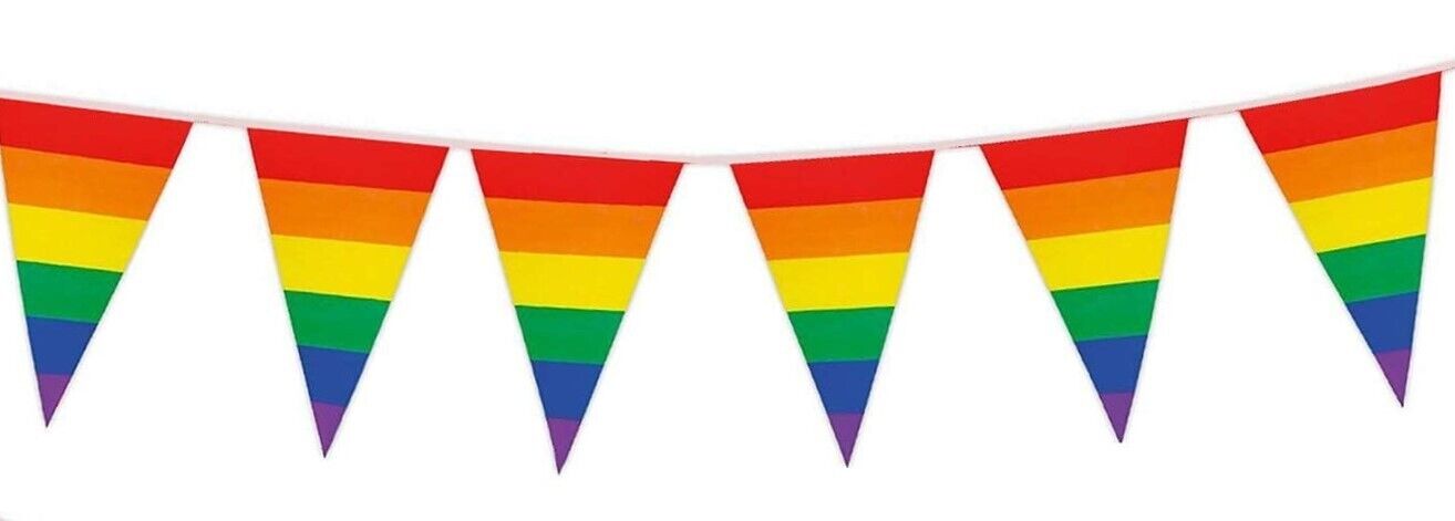 10 Metre PVC Rainbow 6 Colour Pride Bunting with 20 Pennants - 120 Pieces