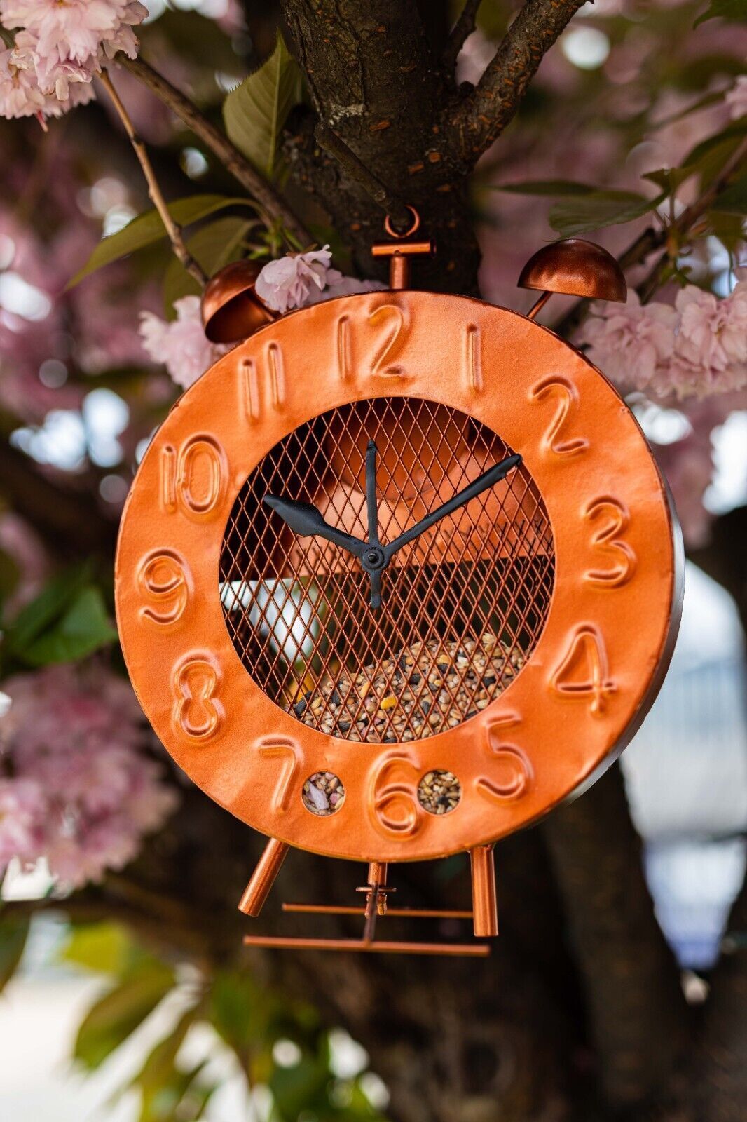 Clock Bird Feeder x 12