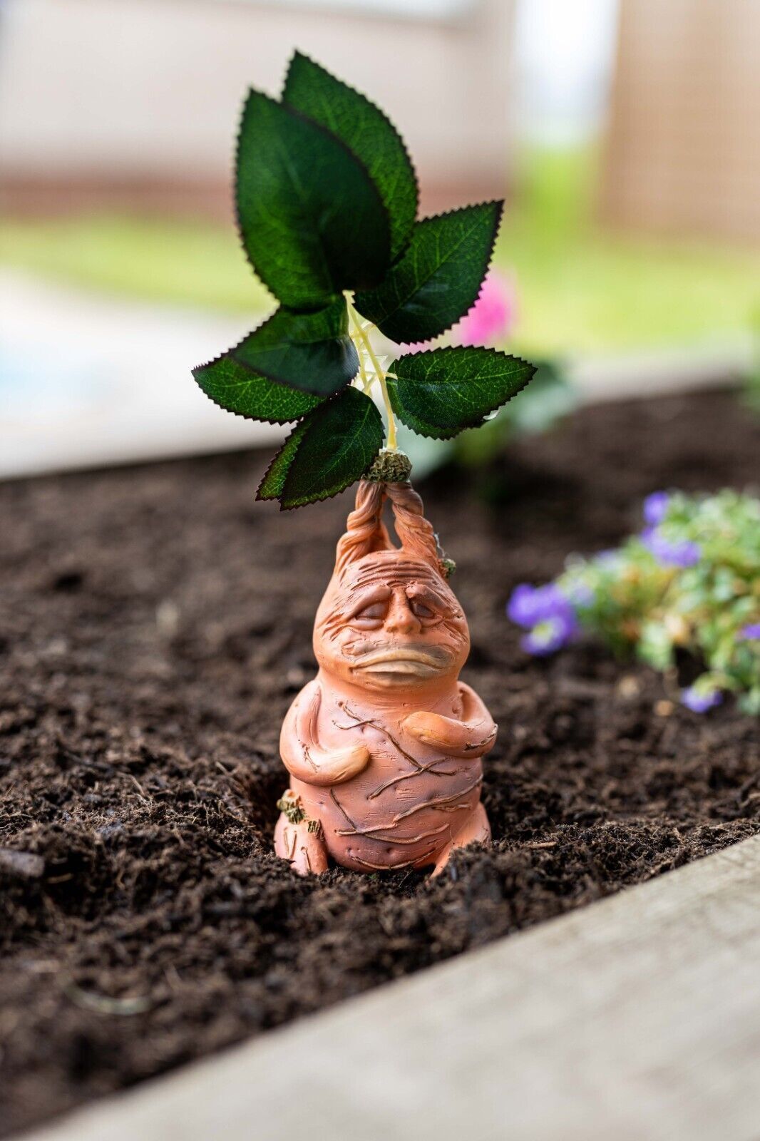 Harry Potter Mandrake Garden Ornament  x 12