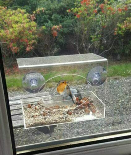 Window Mounted Garden Bird Feeder x12