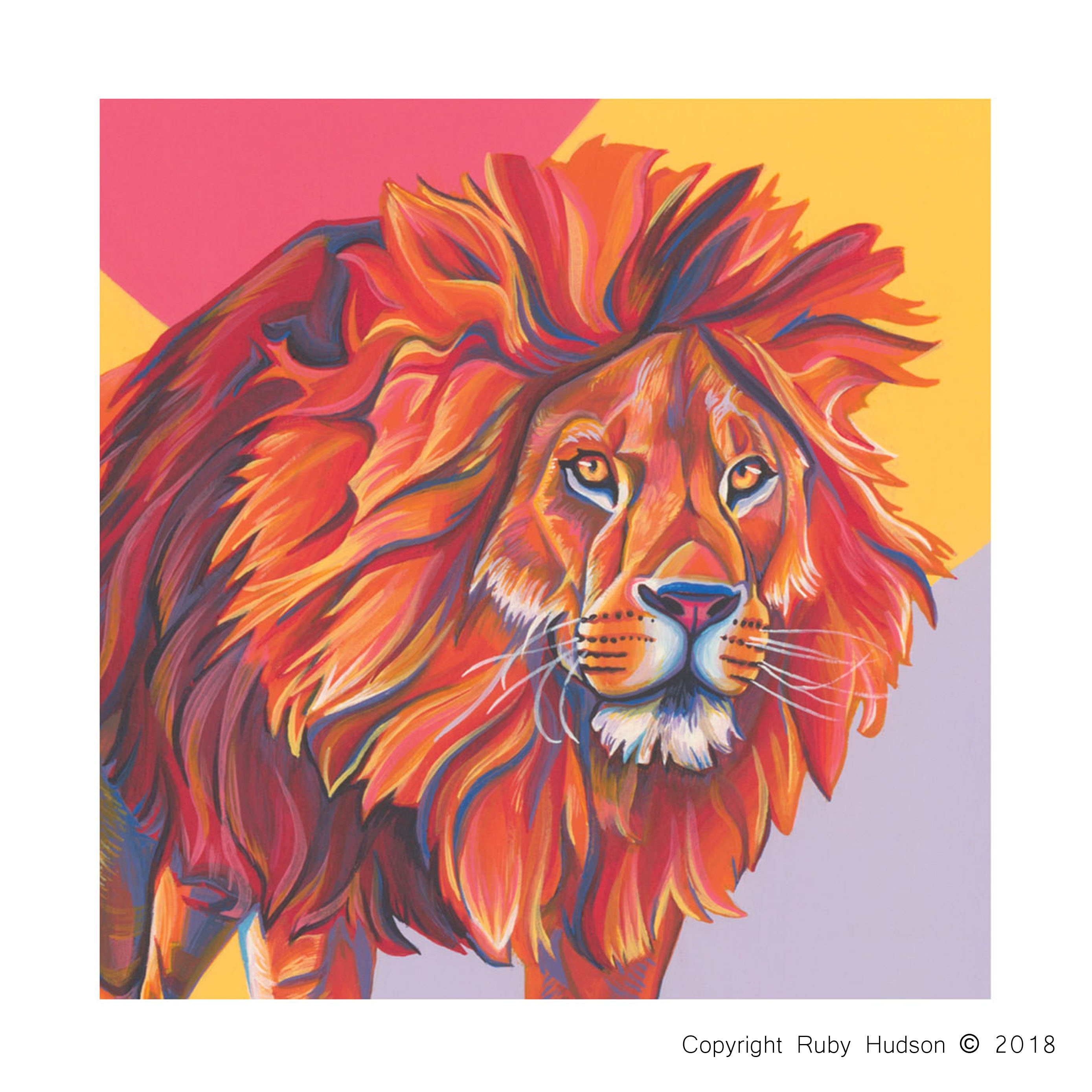 30 Quality Square Lion Greeting Cards, Designer Greeting Card, Bulk Buy Cards