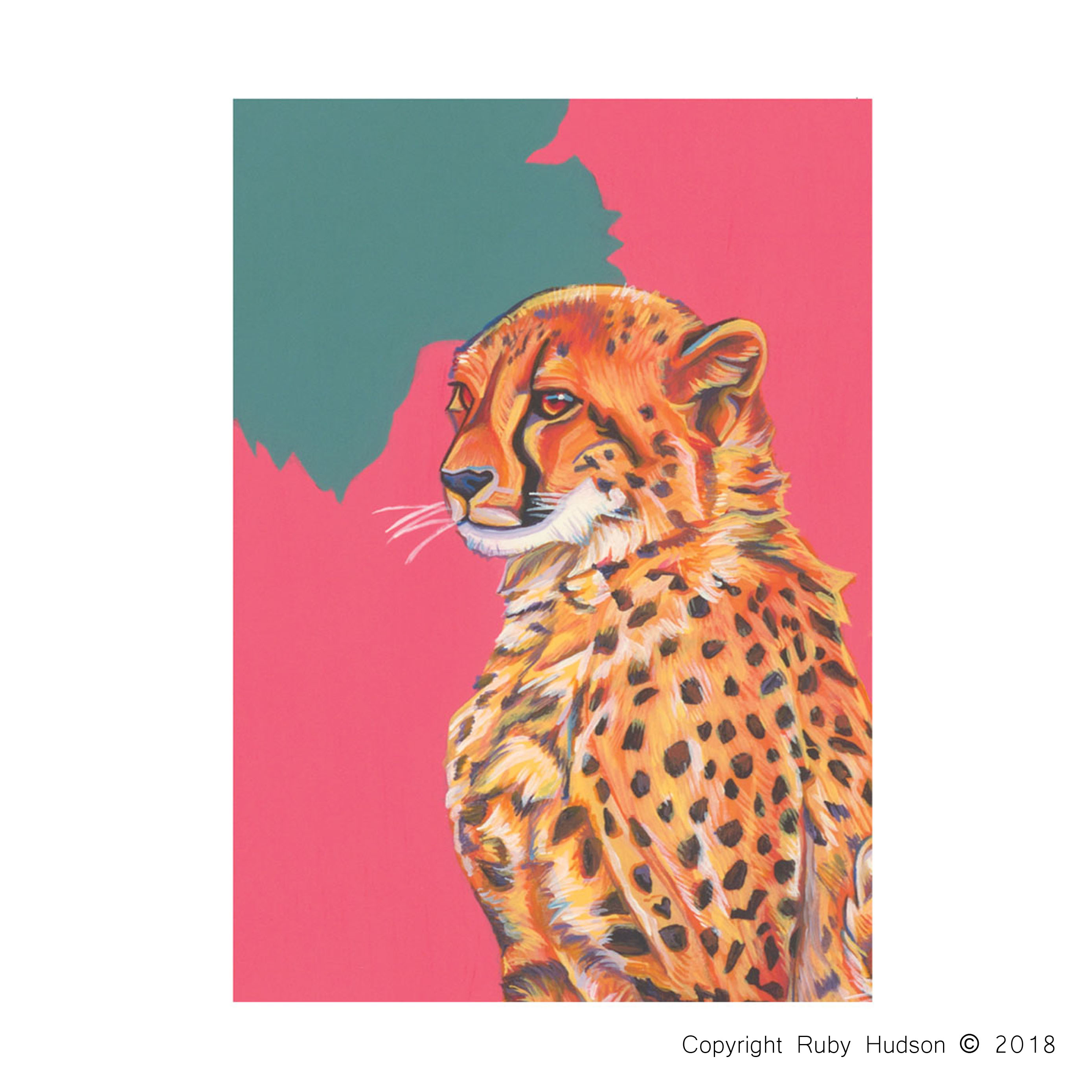 30 Quality A6 Cheetah Greeting Cards, Designer Greeting Card, Bulk Buy Cards