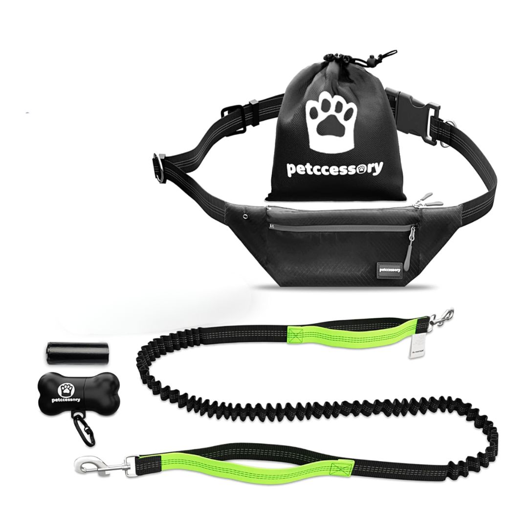 Petccessory Hands Free Dog Lead - with Adjustable Waist Belt, Reflective Bungee Dog Lead - Perfect for Walking, Jogging, and Running with a Dog
