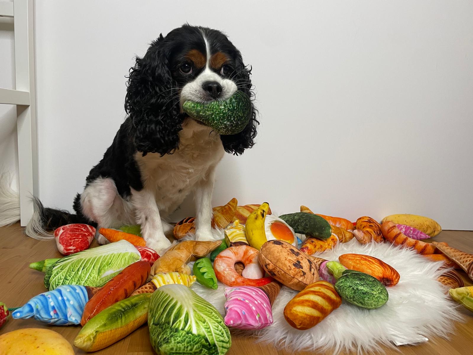 Super Realistic Food Dog Toy