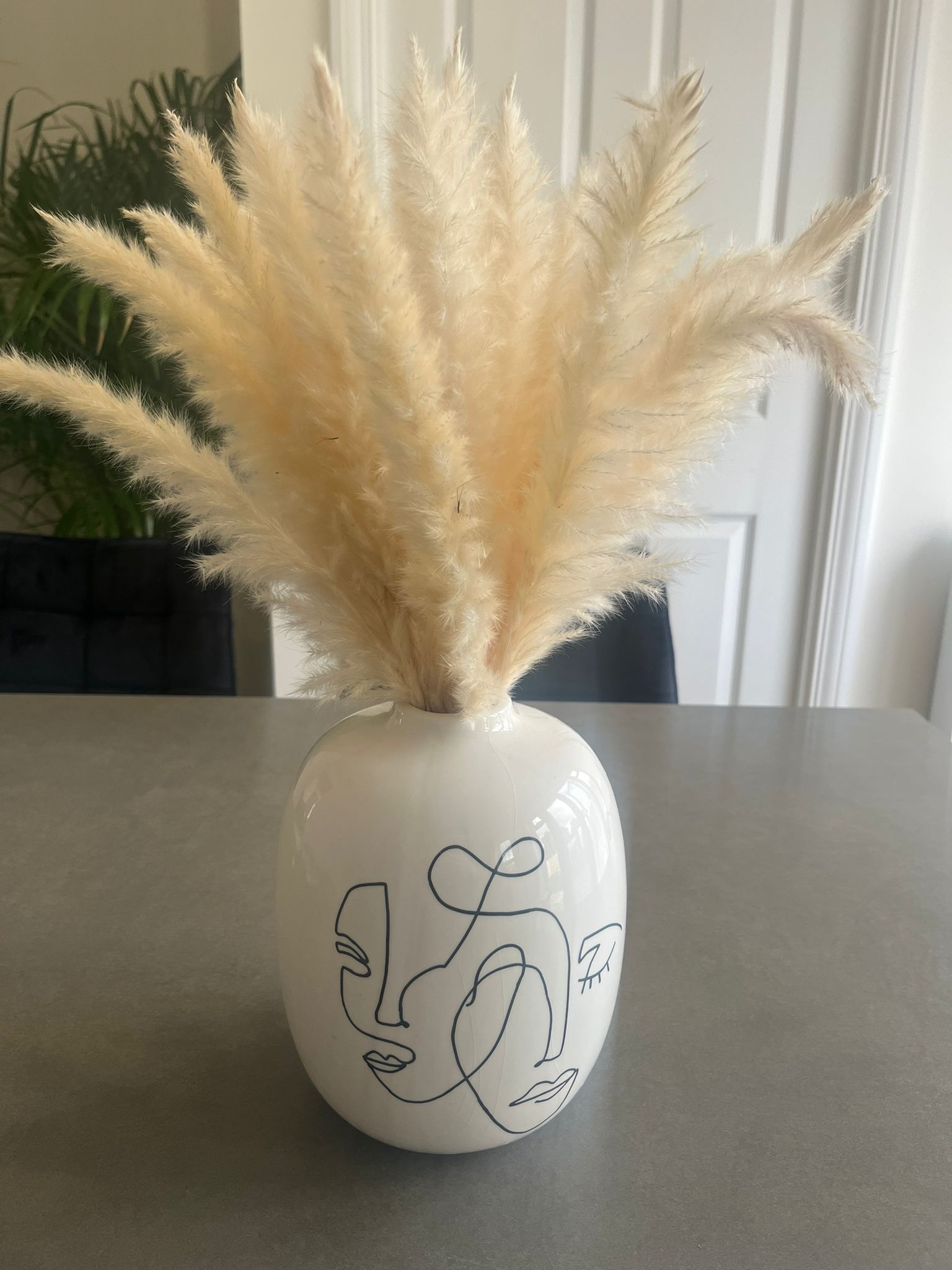 Dried Pampas grass - 30 stems in a pack 45cm off white - brand new sealed x100