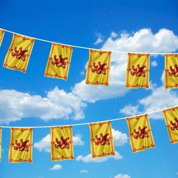 LIQUIDATION - 100 Buntings Scottish Rampant Lion Flags - PVC Waterproof
