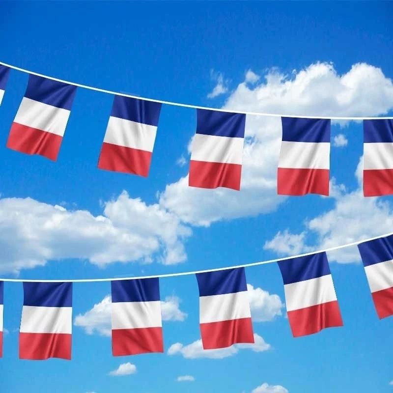 LIQUIDATION - 100 Buntings France Flags - PVC Waterproof