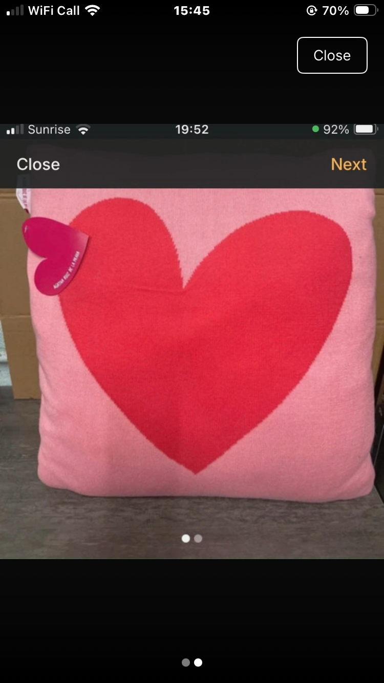 10 two tone pink Agatha luiz del prada large cushions