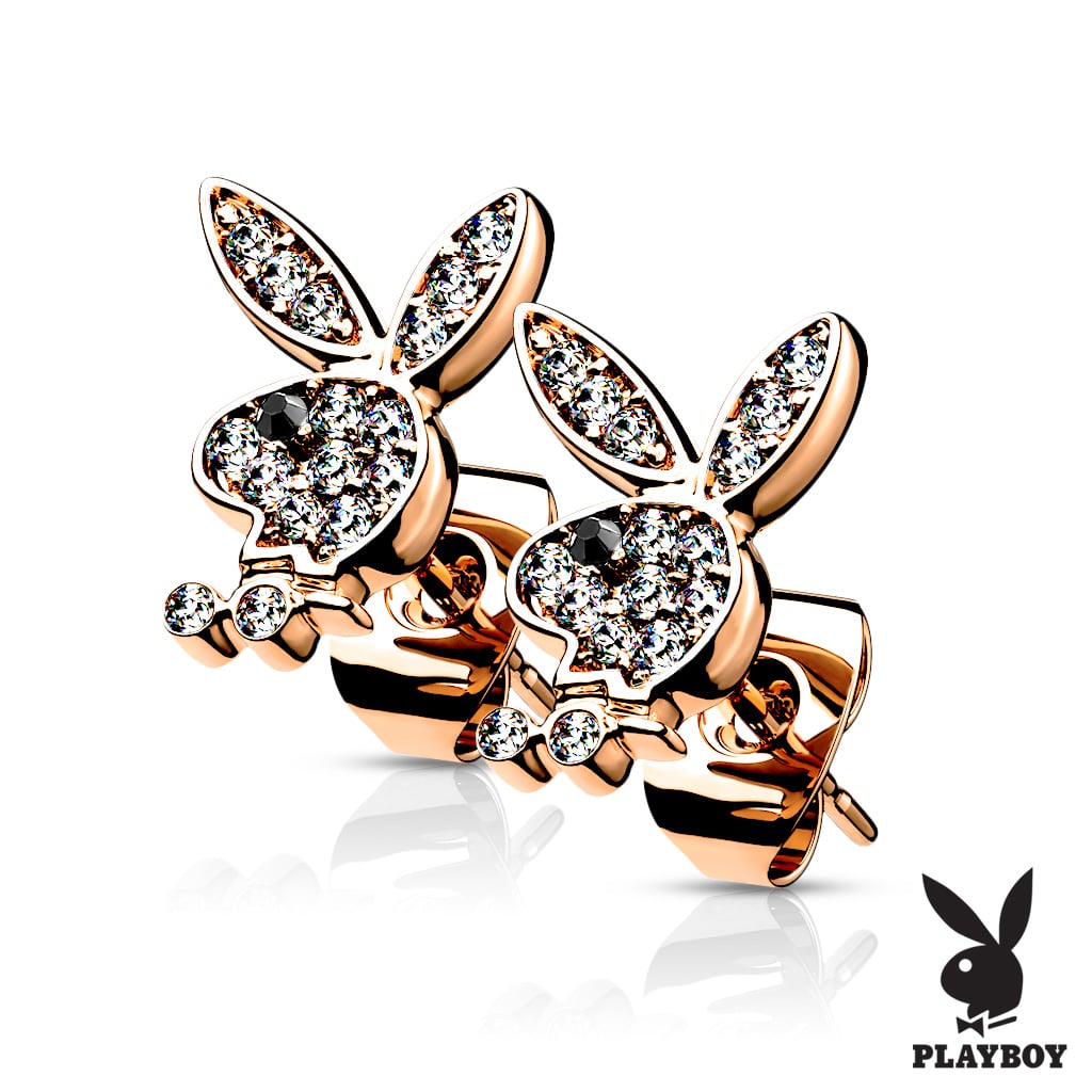 Wholesale Job Lot of 20 Pairs of Playboy CZ Earrings