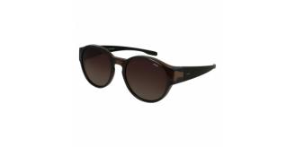 Wholesale Joblot of 10 INVU Transparent Brown E2804C Polarized Sunglasses
