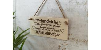 Wooden Friendship Best Friend Plaque x 25