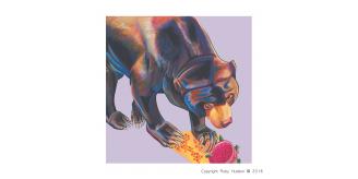 50 Quality Square Sun Bear Greeting Cards, Designer Greeting Card, Bulk Buy Cards