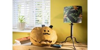 'Couch Potato' Remote Control Storage Cushion