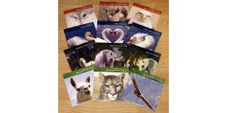 144 Meditation Music CD's