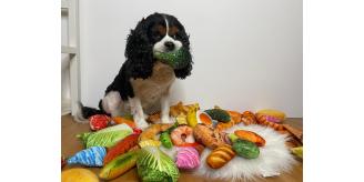 Super Realistic Food Dog Toy