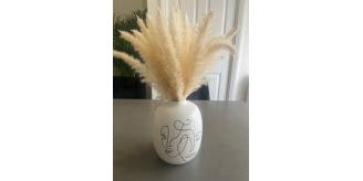 Dried Pampas grass - 30 stems in a pack 45cm off white - brand new sealed x100