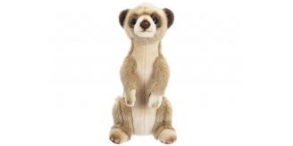 Premium Meerkat Plush 30cm – Case of 24 (RRP £19.99)
