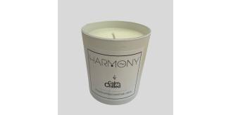 High Quality Candles Infused with Essential Oils RRP £19.99