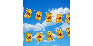 Scotland Rampant Lion Buntings Flags PVC