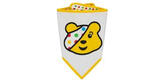 Wholesale Jot Lot of 7 Newborn Children In Need Pudsey Bibs