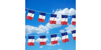 LIQUIDATION - 100 Buntings France Flags - PVC Waterproof