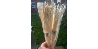 Mixed pampas grass bunny tails flowers joblot x100