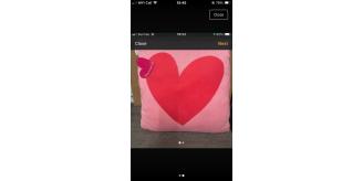10 two tone pink Agatha luiz del prada large cushions 