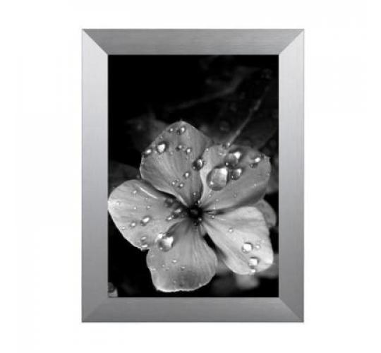 Metal picture frames - NEW