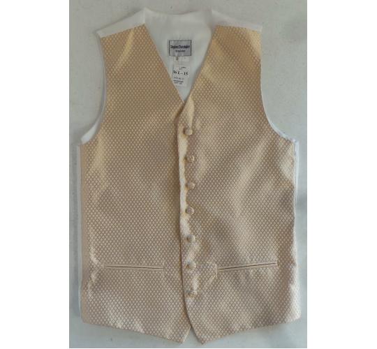 Wholesale Joblot of 10 Mens Gold Diamond Check Waistcoats With Accessories