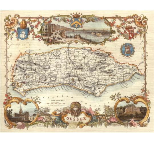 60 Sussex 19th Century Reproduction Thomas Moule Decorative Antique Maps