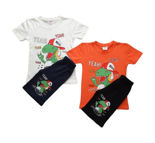 Brand New Joblot of Boys 8-Pack/2 Colours 2-Pcs Set (2y-8y)
