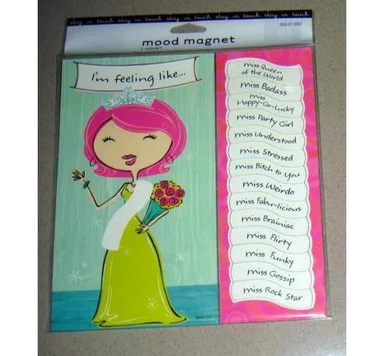 Novelty Sassy Mood Fridge Magnet with 14 Different Moods