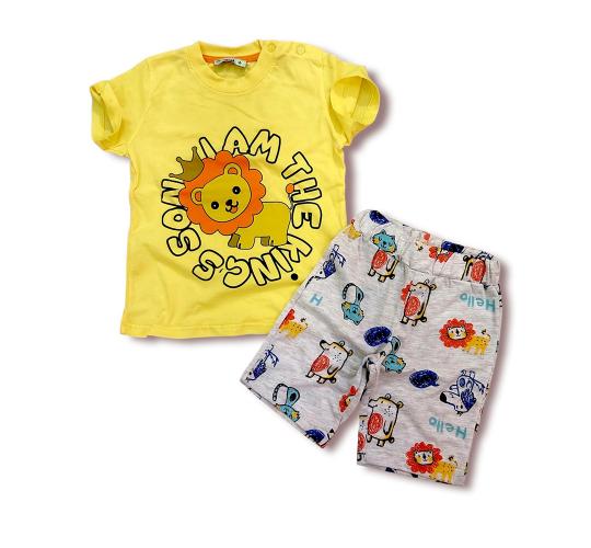 Joblot 4-Pack Toddler Boys 2-Pcs Shorts Set (1y-4y)