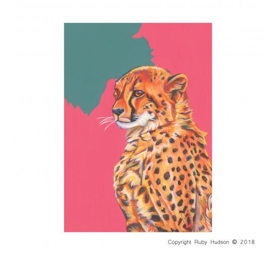 30 Quality A6 Cheetah Greeting Cards, Designer Greeting Card, Bulk Buy Cards